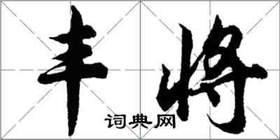 胡问遂丰将行书怎么写