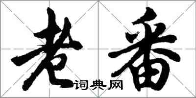 胡问遂老番行书怎么写