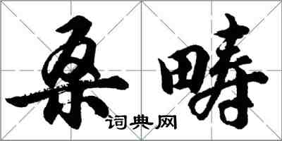 胡问遂桑畴行书怎么写