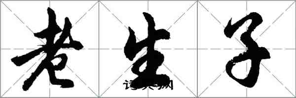 胡问遂老生子行书怎么写