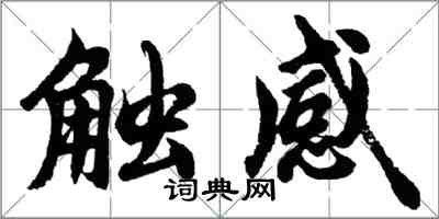 胡问遂触感行书怎么写