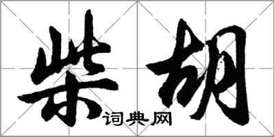 胡问遂柴胡行书怎么写