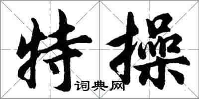 胡问遂特操行书怎么写