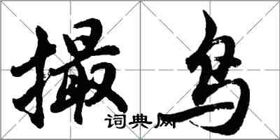 胡问遂撮鸟行书怎么写