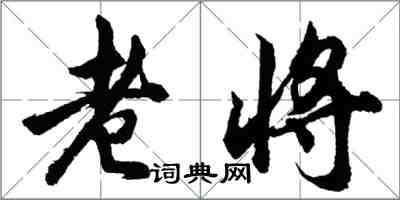 胡问遂老将行书怎么写