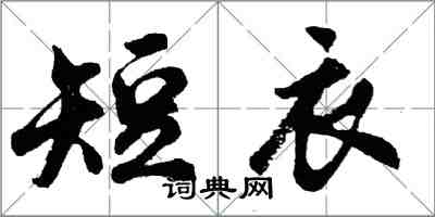 胡问遂短衣行书怎么写