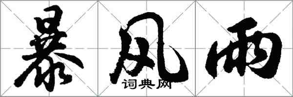 胡问遂暴风雨行书怎么写