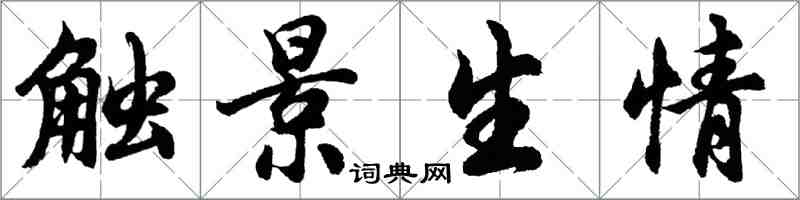 胡问遂触景生情行书怎么写