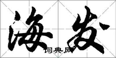 胡问遂海发行书怎么写