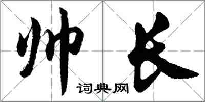 胡问遂帅长行书怎么写