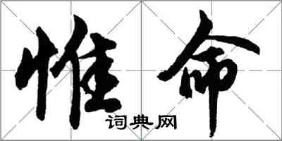 胡问遂惟命行书怎么写