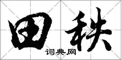 胡问遂田秩行书怎么写