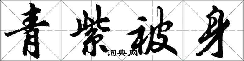 胡问遂青紫被身行书怎么写