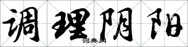 胡问遂调理阴阳行书怎么写