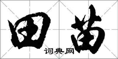 胡问遂田苗行书怎么写