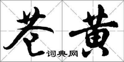 胡问遂苍黄行书怎么写