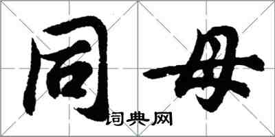 胡问遂同母行书怎么写