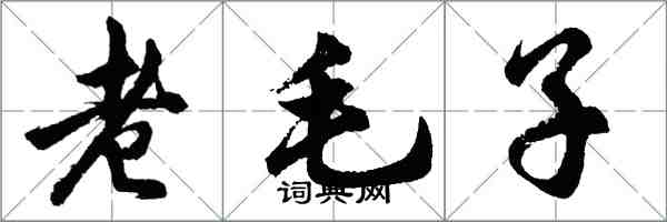 胡问遂老毛子行书怎么写