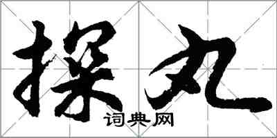 胡问遂探丸行书怎么写