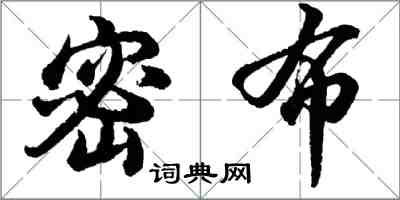 胡问遂密布行书怎么写