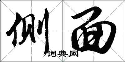 胡问遂侧面行书怎么写