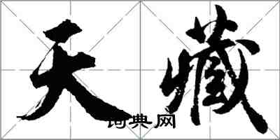 胡问遂天藏行书怎么写