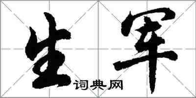 胡问遂生军行书怎么写