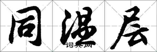 胡问遂同温层行书怎么写