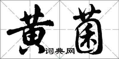 胡问遂黄菌行书怎么写