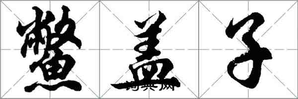 胡问遂鳖盖子行书怎么写