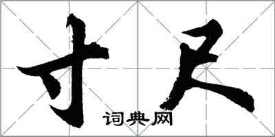 胡问遂寸尺行书怎么写