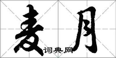 胡问遂麦月行书怎么写