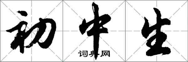 胡问遂初中生行书怎么写