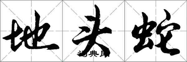 胡问遂地头蛇行书怎么写