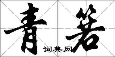 胡问遂青箬行书怎么写