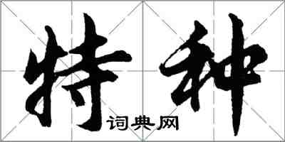 胡问遂特种行书怎么写