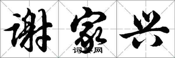 胡问遂谢家兴行书怎么写