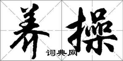 胡问遂养操行书怎么写