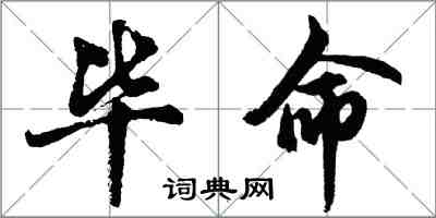 胡问遂毕命行书怎么写