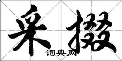 胡问遂采掇行书怎么写