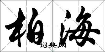 胡问遂柏海行书怎么写