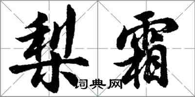 胡问遂梨霜行书怎么写