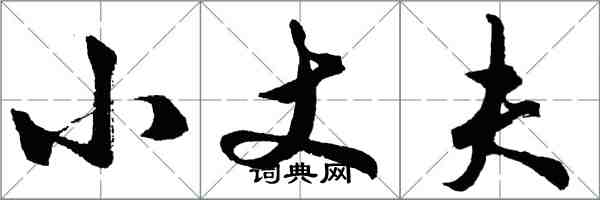 胡问遂小丈夫行书怎么写