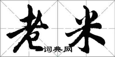 胡问遂老米行书怎么写