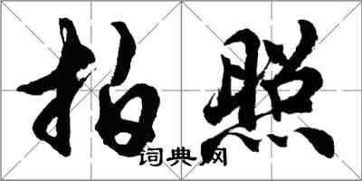 胡问遂拍照行书怎么写