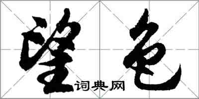 胡问遂望色行书怎么写