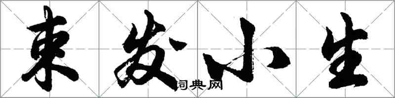 胡问遂束发小生行书怎么写