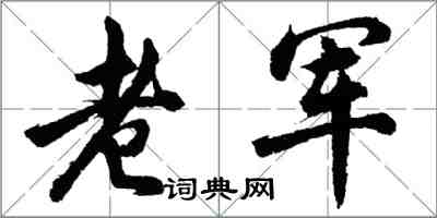 胡问遂老军行书怎么写