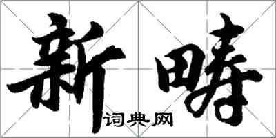 胡问遂新畴行书怎么写