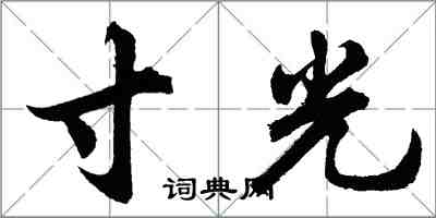 胡问遂寸光行书怎么写